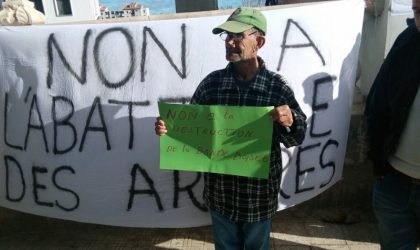 Bande boisée de Béjaïa : les protestataires appellent à une marche